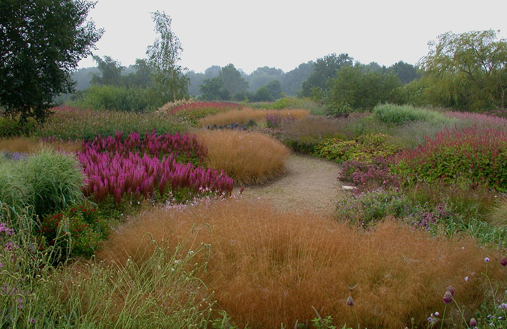 pensthorpe-01